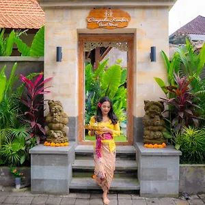Guest house Cempaka Kembar
